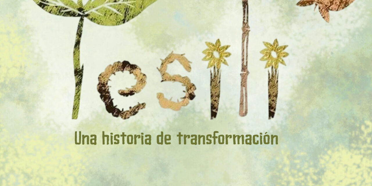Tesili: un viaje sensorial sobre la transformación de la vida para las primeras infancias