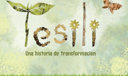 Tesili: un viaje sensorial sobre la transformación de la vida para las primeras infancias