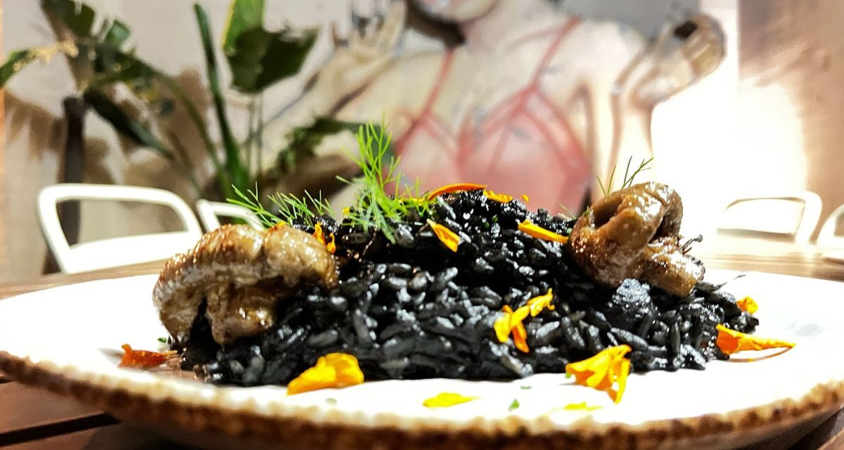 Brunch en la Roma Norte donde el tiempo se saborea en ZUZU Cocina de Campo