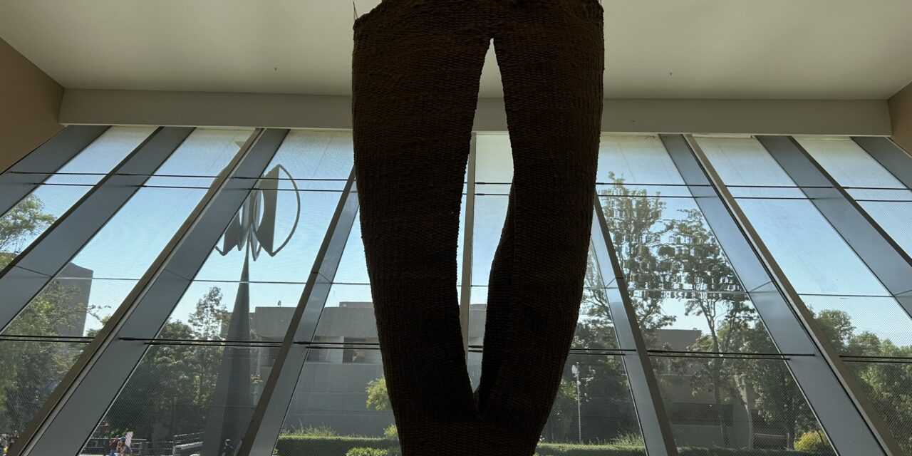 Mis Caminos son Terrestres una exposición para conocer la vida y obra de Marta Palau en el MUAC