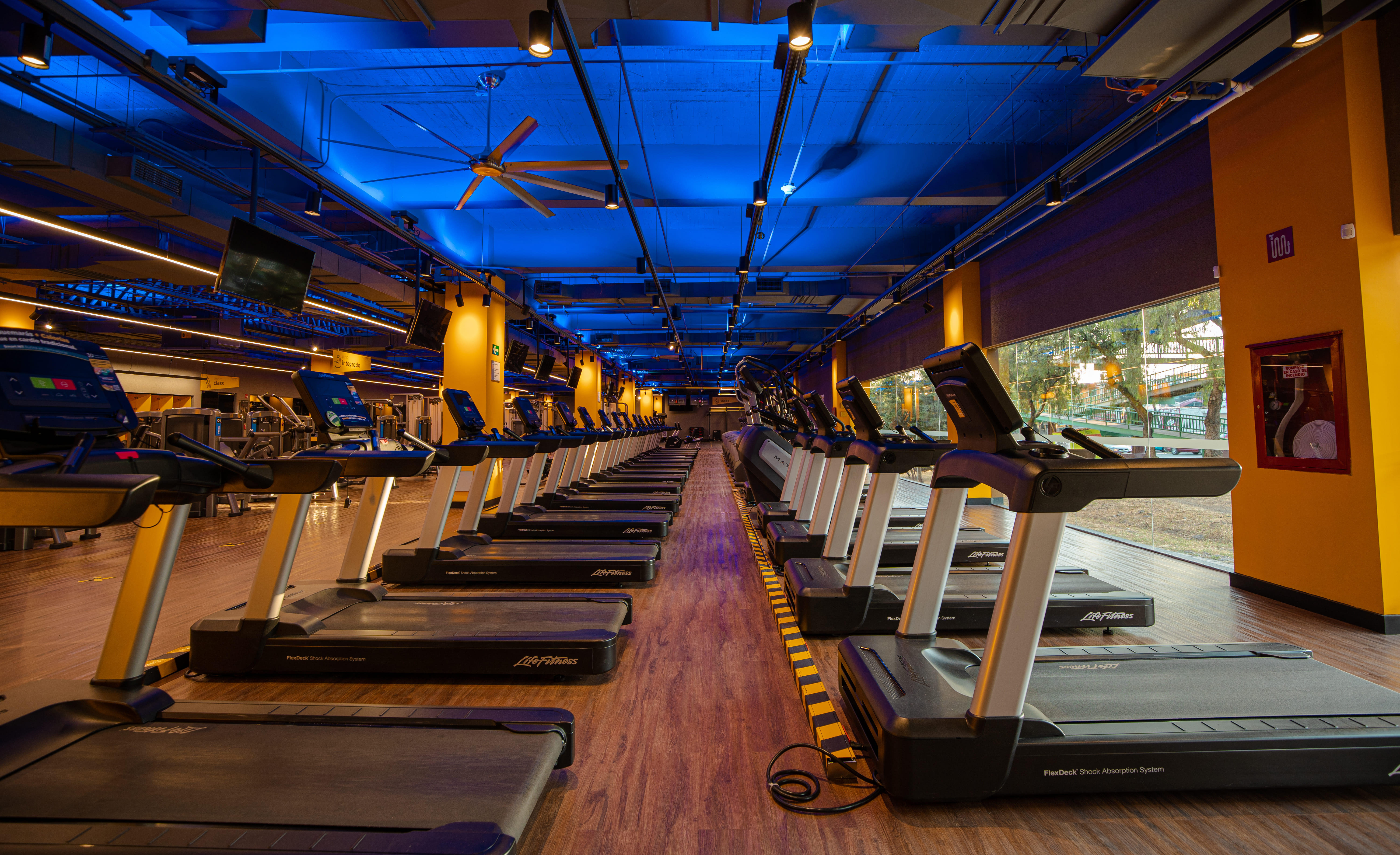 Adolescentes podrán entrenar gratis con el programa Haz plan en Smart Fit