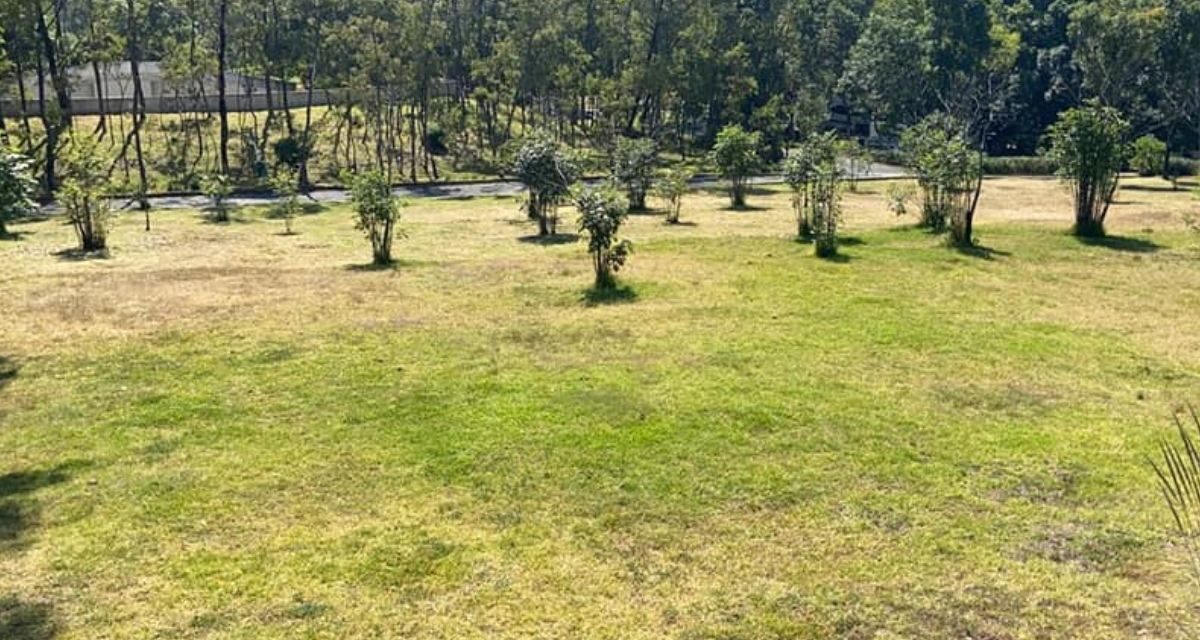 Alameda Poniente, el parque que transformó antiguos tiraderos de Santa Fe en área verde