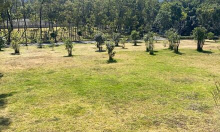 Alameda Poniente, el parque que transformó antiguos tiraderos de Santa Fe en área verde