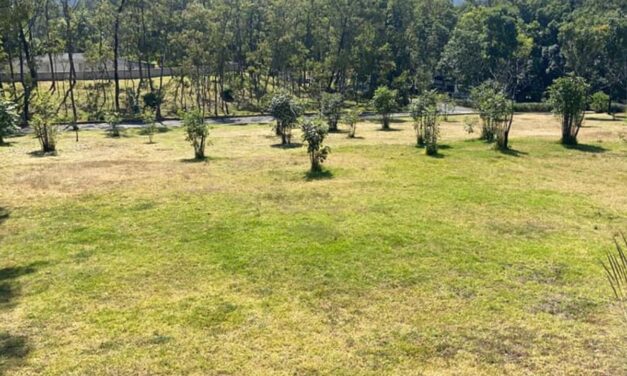 Alameda Poniente, el parque que transformó antiguos tiraderos de Santa Fe en área verde