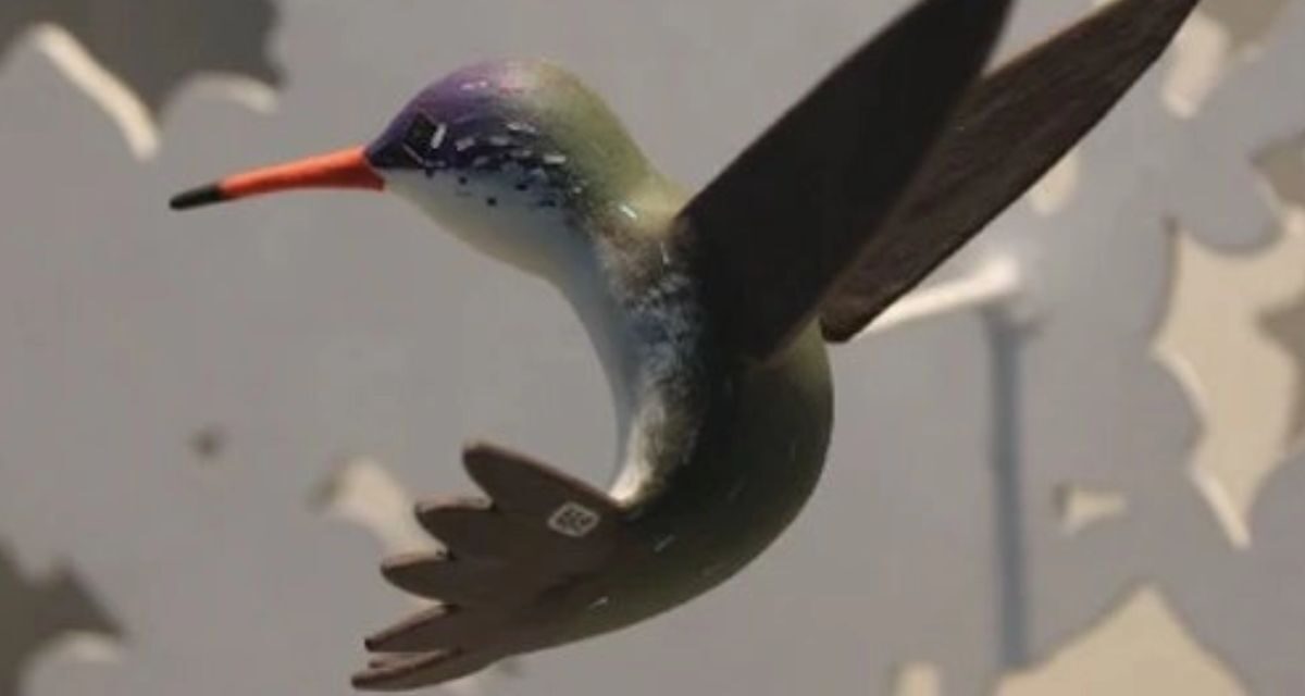 Colibríes y arte urbano una exposición en Chapultepec que invita a proteger la biodiversidad