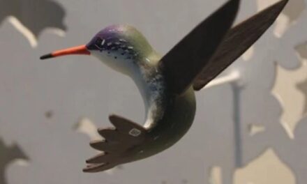 Colibríes y arte urbano una exposición en Chapultepec que invita a proteger la biodiversidad