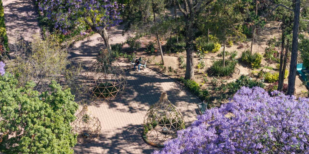 FYJA 2026 arranca evaluación del Concurso de Estudiantes bajo el eje El jardín mexicano
