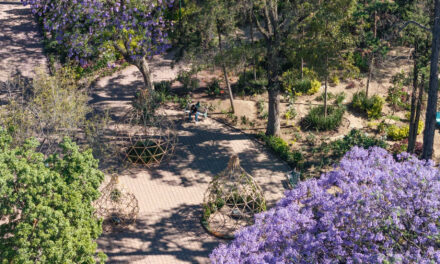 FYJA 2026 arranca evaluación del Concurso de Estudiantes bajo el eje El jardín mexicano