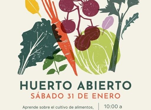 Educación ambiental y cocina mexicana una alianza para cuidar el planeta