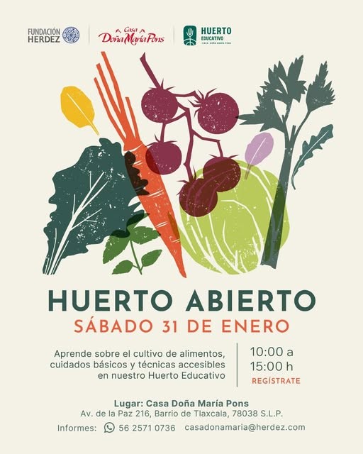 Educación ambiental y cocina mexicana una alianza para cuidar el planeta