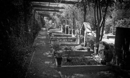 Panteón Alemán de Tacuba un Friedhof que une memoria, historia y naturaleza en la Ciudad de México