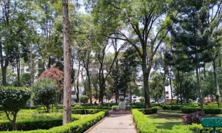 Parque Arboledas o Parque Pilares, un respiro urbano en la Del Valle