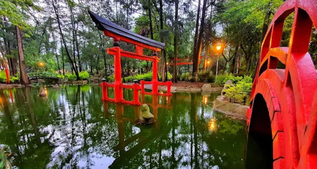 Parque Masayoshi Ōhira el jardín japonés más grande de México en Coyoacán (colonia Country Club)