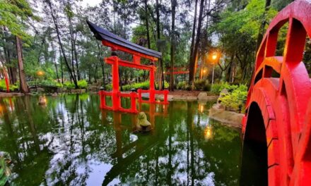 Parque Masayoshi Ōhira el jardín japonés más grande de México en Coyoacán (colonia Country Club)