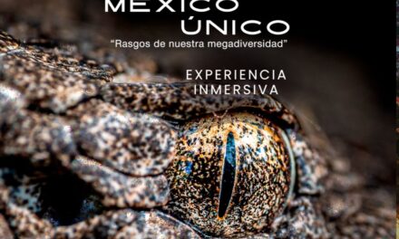 México Único una experiencia inmersiva que revela la megadiversidad del país en el Museo de Historia Natural