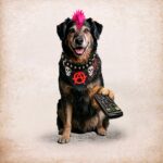 Patán, la historia del perriro punk antisistema llega a La Teatrería
