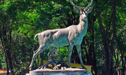Parque de los Venados el corazón verde que resiste entre avenidas y memoria urbana
