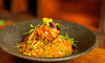 Sōōp Noodle Bar estrena menú con karaage, ramen wonton y noodles fríos en la Roma