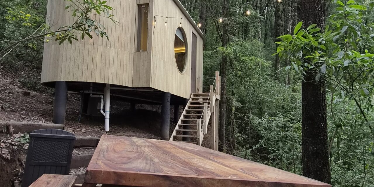 Wander Cabins, el refugio perfecto entre los bosques de Mineral del Chico