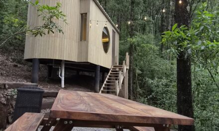 Wander Cabins, el refugio perfecto entre los bosques de Mineral del Chico